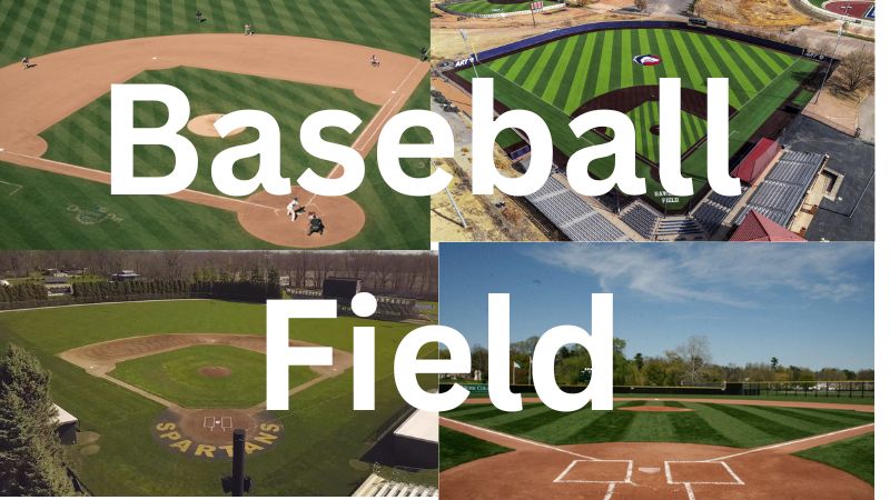 Baseball Field - BLATZOO Reviews