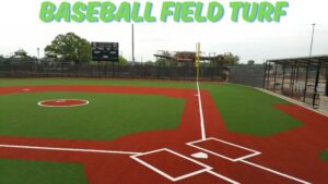 Baseball Field Turf - 1 - BLATZOO Reviews
