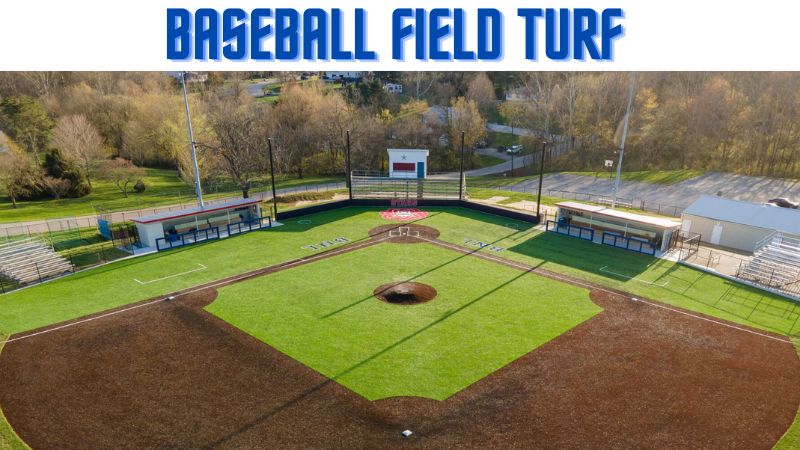 Baseball Field Turf - BLATZOO Reviews