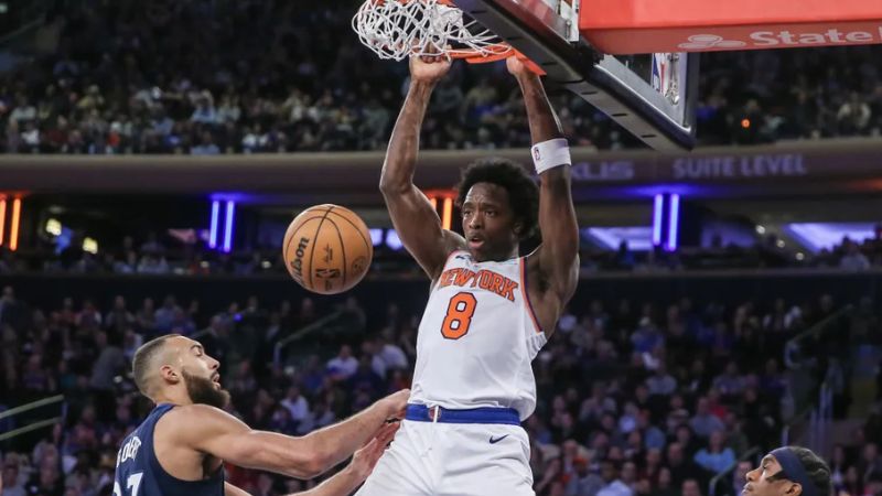 OG Anunoby-New York Knicks-BLATZOO Reviews