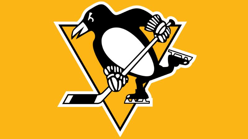 Pittsburgh Penguins Ice Hockey - BLATZOO Reviews