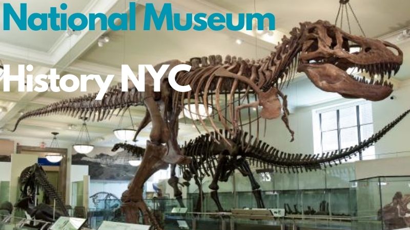 National Museum History NYC - BLATZOO Reviews - 1