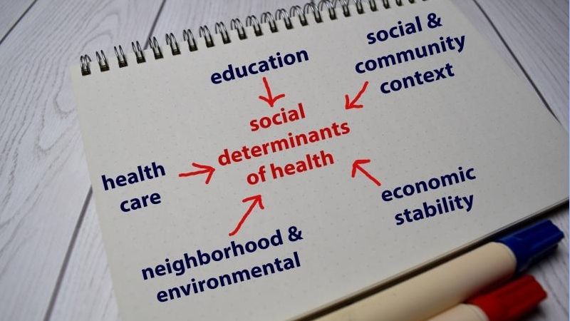 Social Determinants in Health - BLATZOO Reviews - 1