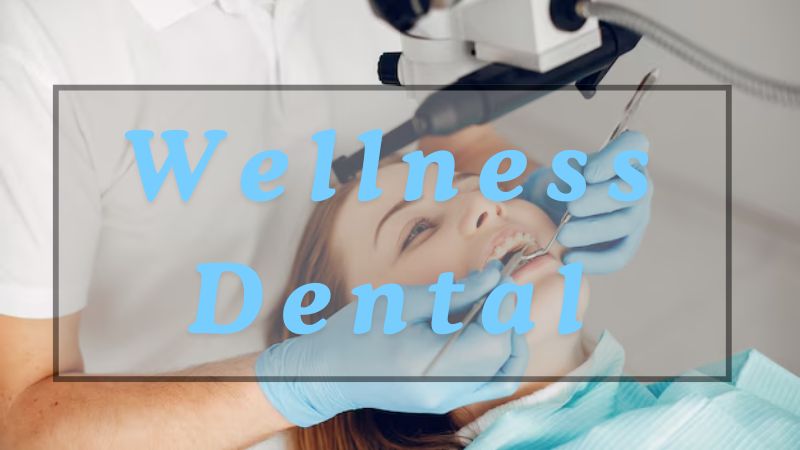 Wellness Dental - BLATZOO Reviews - 1