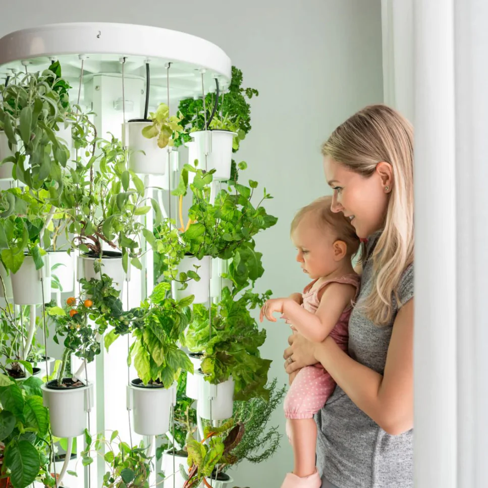 Indoor Gardening System - BLATZOO Reviews - 1