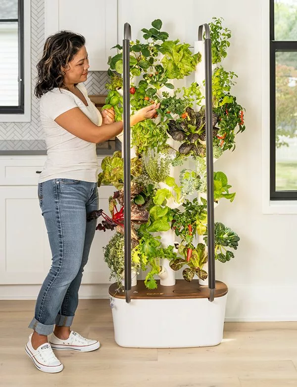 Indoor Gardening System - BLATZOO Reviews