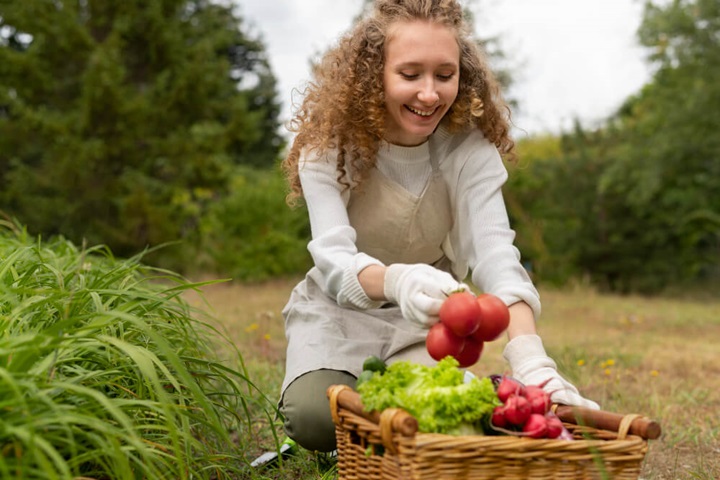 Sustainable Gardening - BLATZOO Reviews - 1